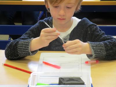 tweede leerjaar
