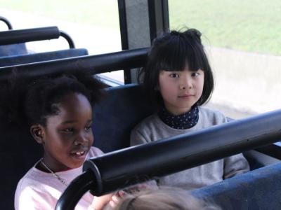 bus